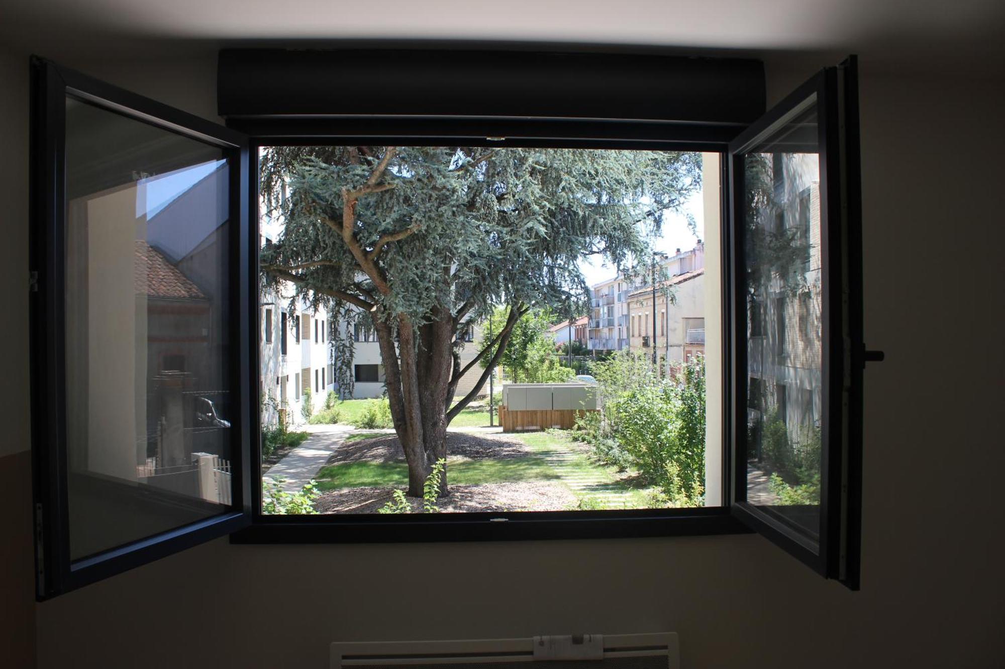 Elegante Maison De Ville Renovee Toulouse Eksteriør billede